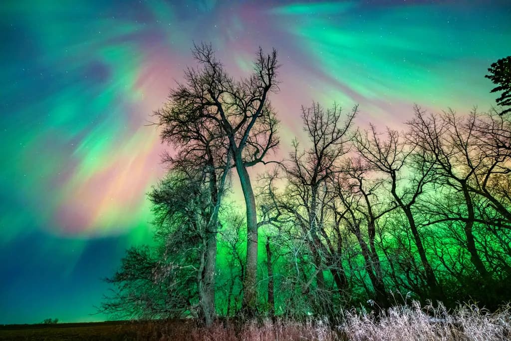 Cottonwoods Aurora