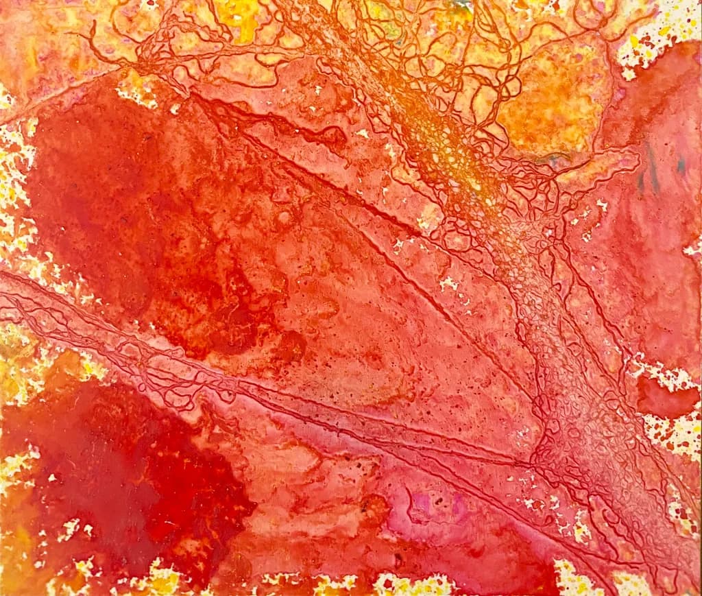 Embers in Motion