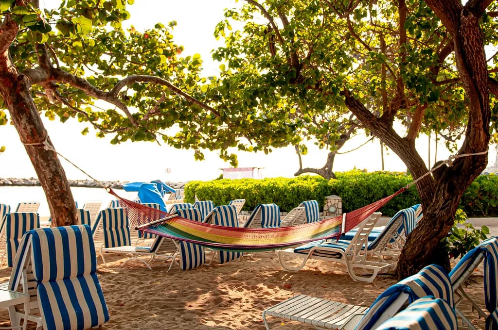 Hammock in the Shade