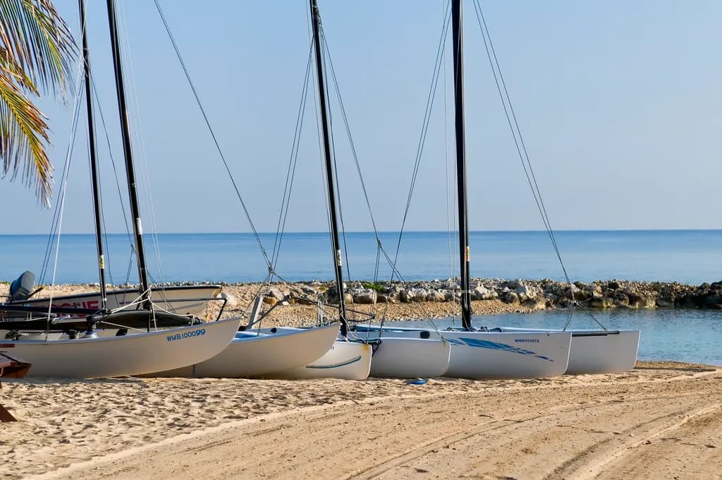 Harbor Quietude