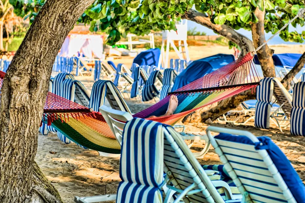 Summer Repose