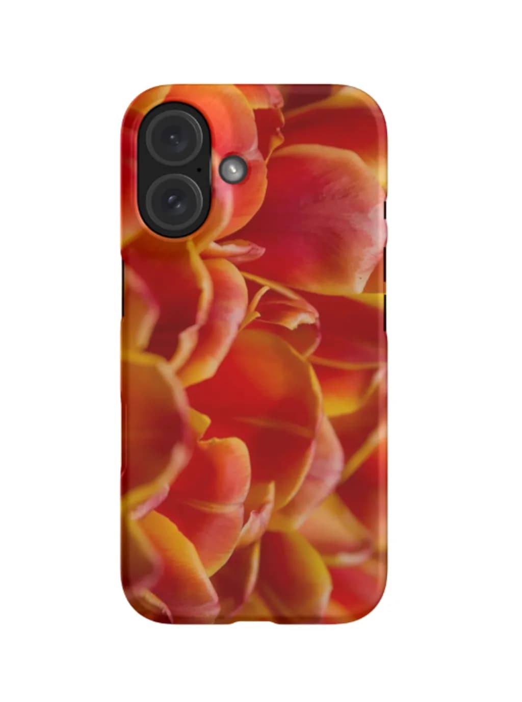 Crimson Petal Burst