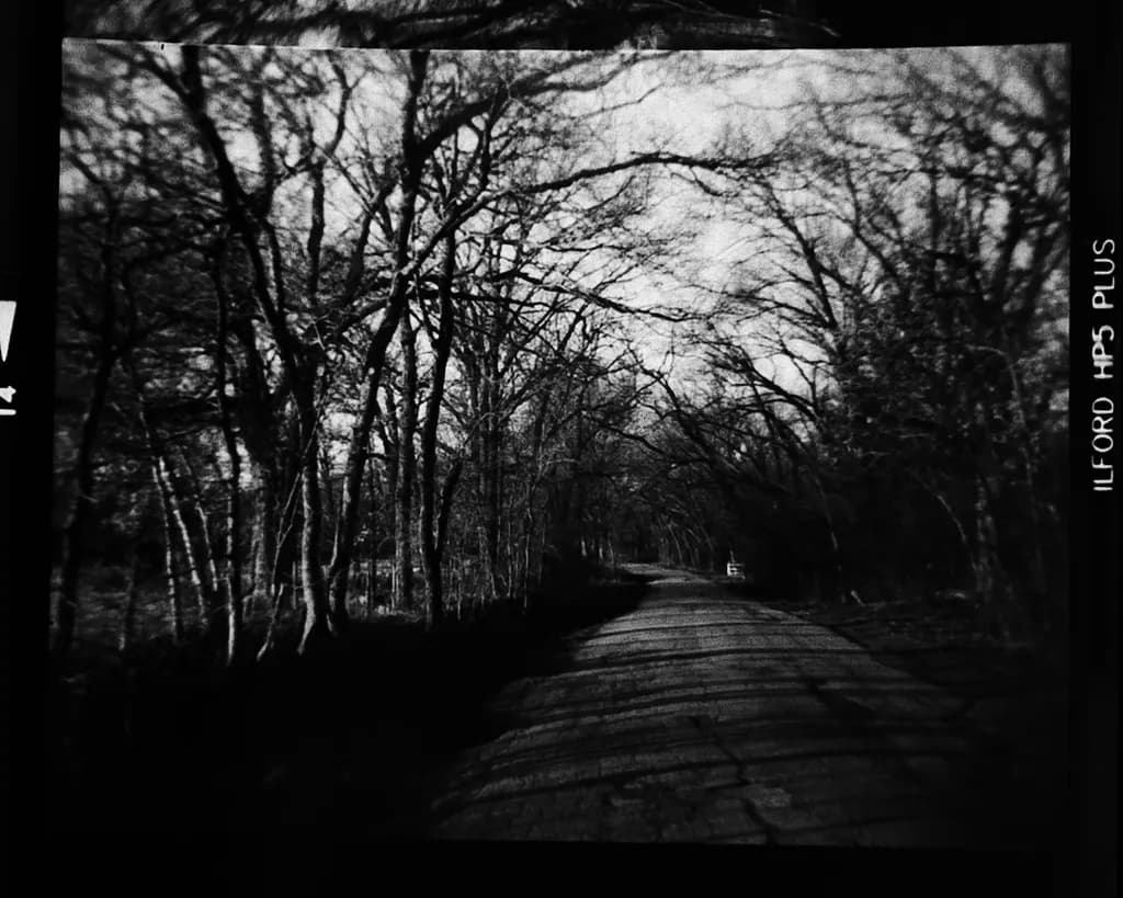 Old Alton Shadows