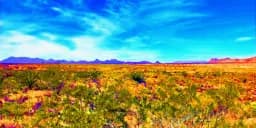 Abstract Photograph 057 The Wild Western Prairie