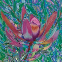 Secret Garden Bloom