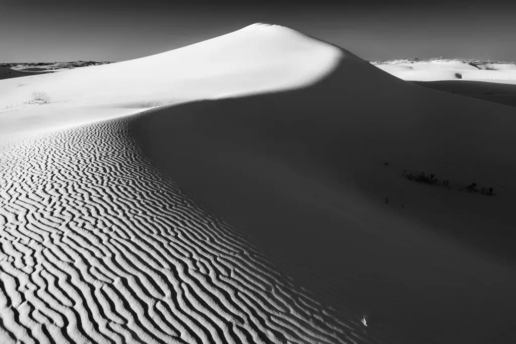 Whispers of the Desert: A Monochrome Journey Through Sand Dunes