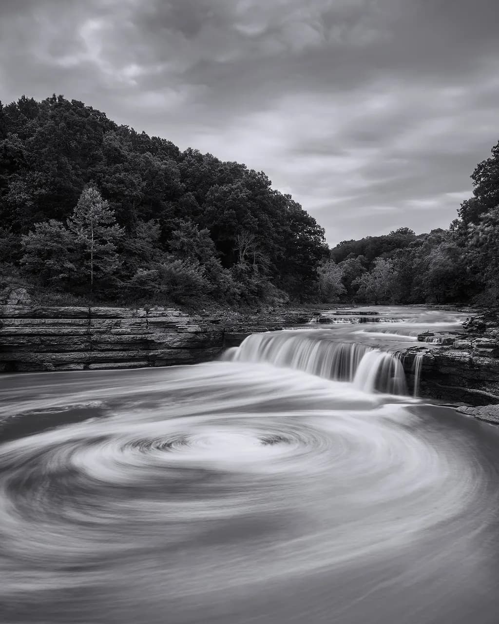 Whispers of the Water: A Serene Dance of Nature in Monochrome