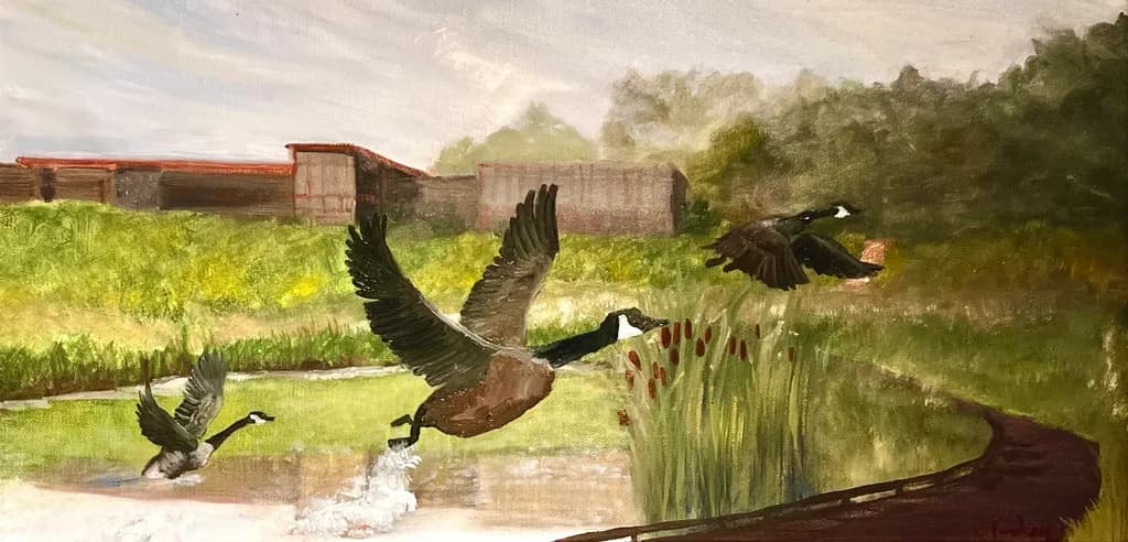 Soaring Serenity: Geese in Flight Over Tranquil Waterscape