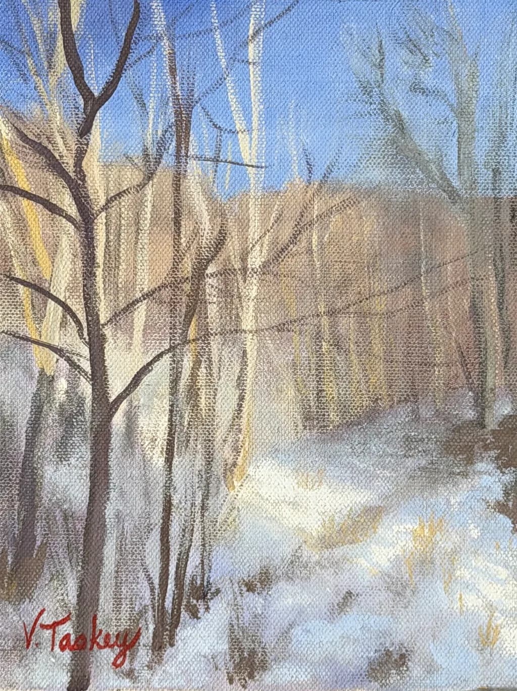 Winter's Embrace