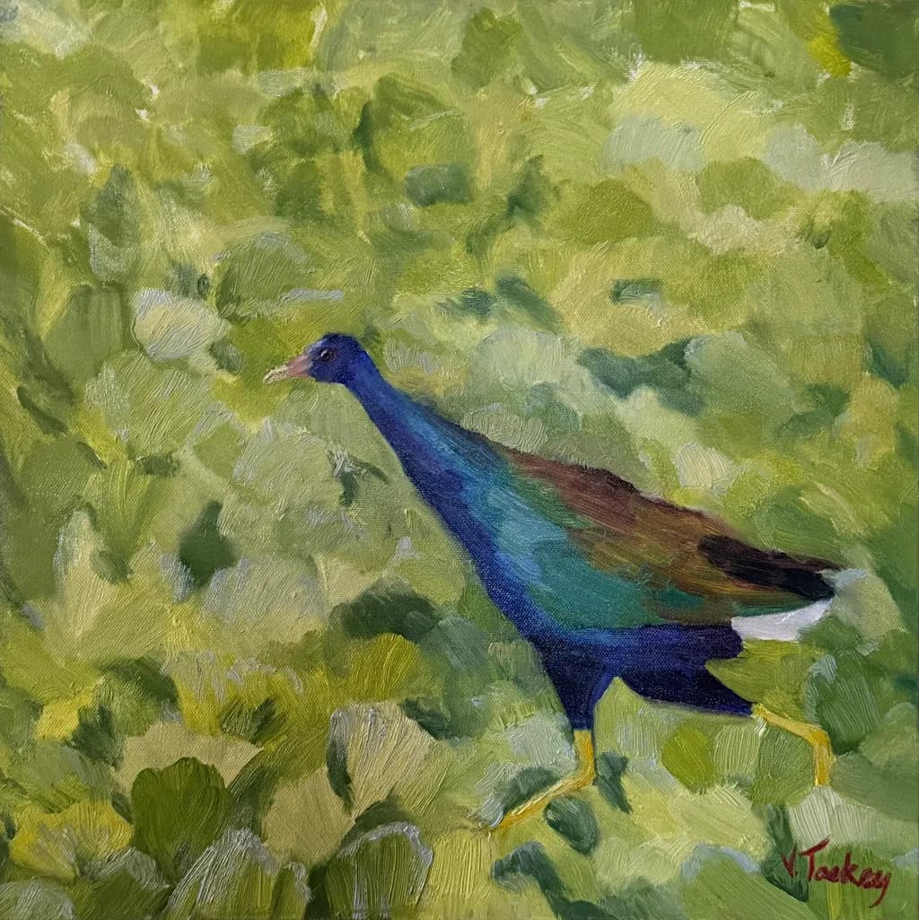 Lush Plumage