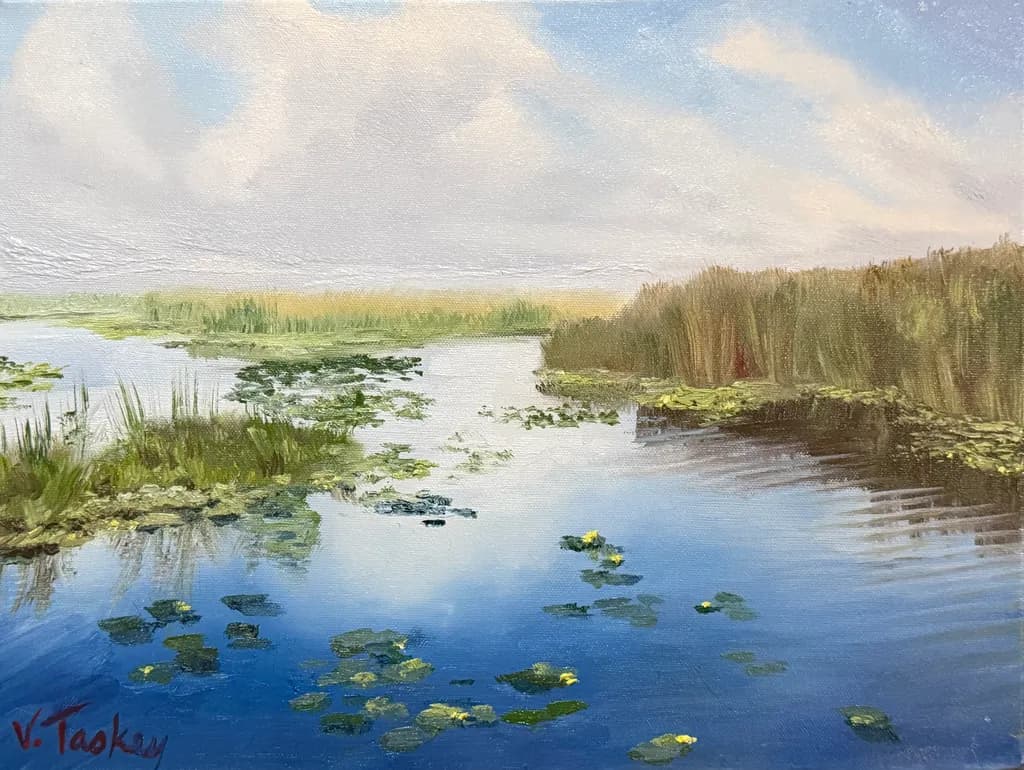 Lily Pad Reflections