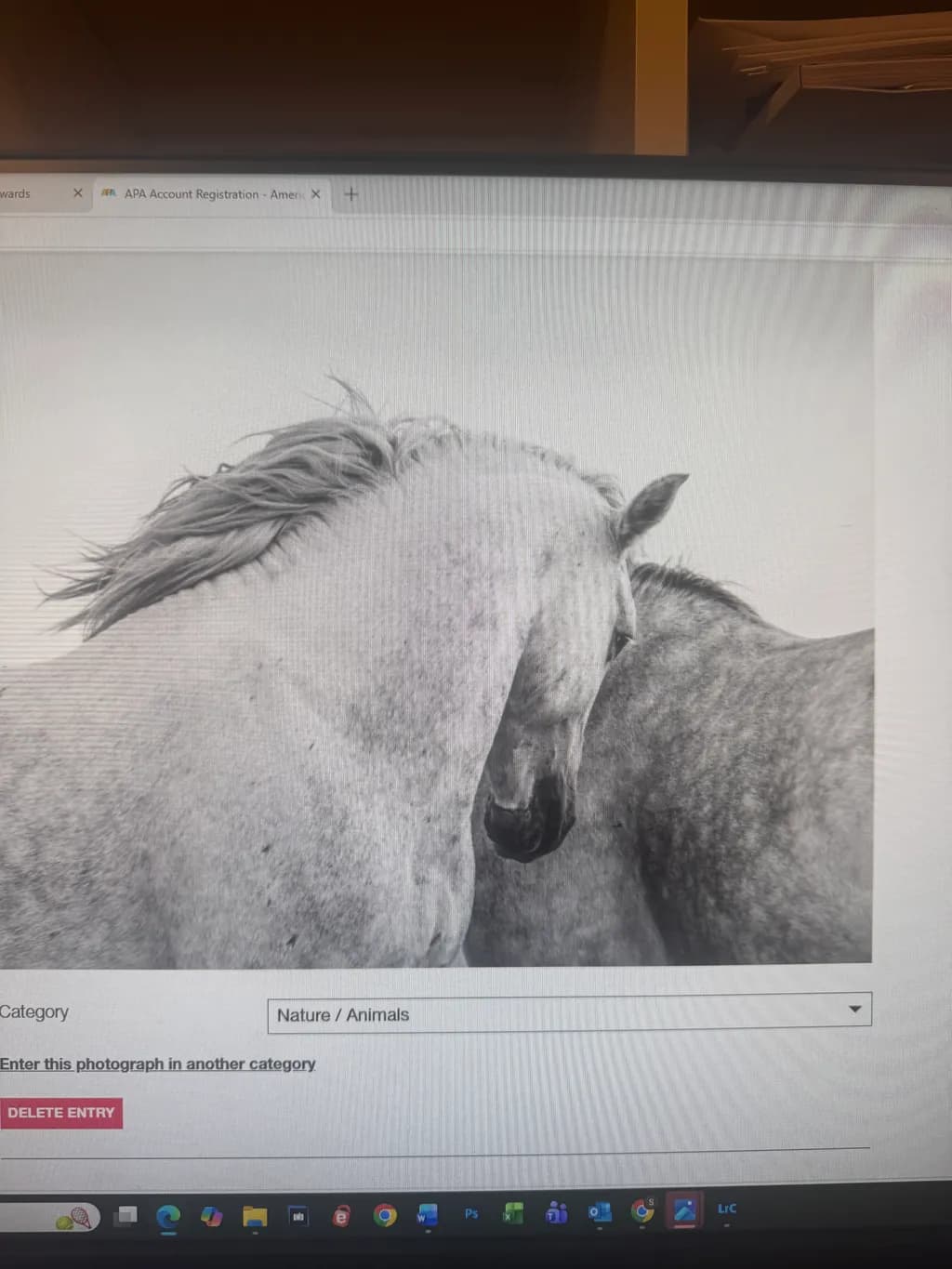 Gentle Horses