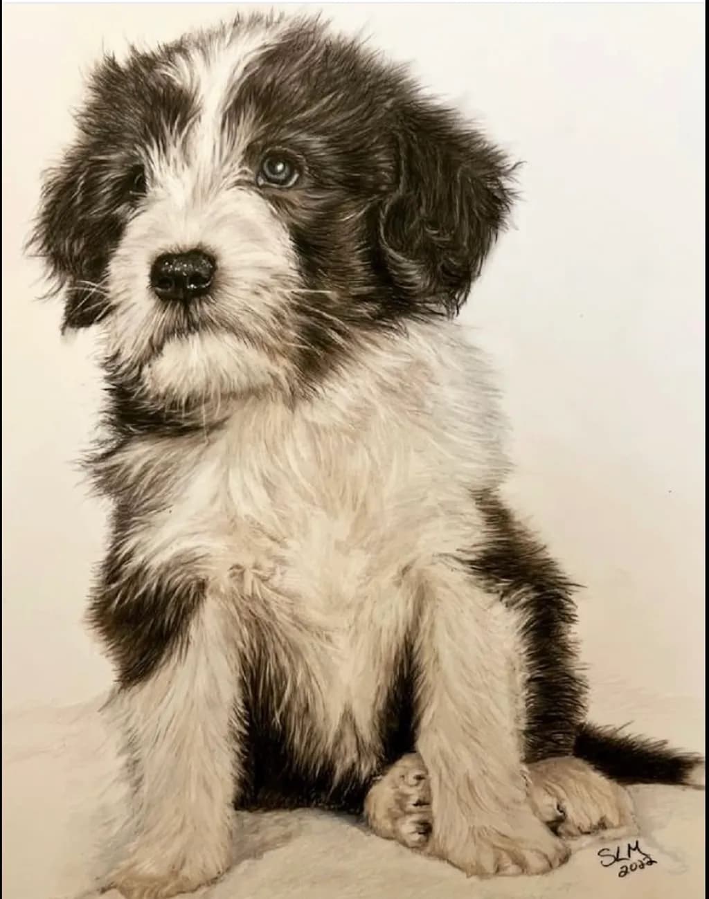 Puppy Innocence