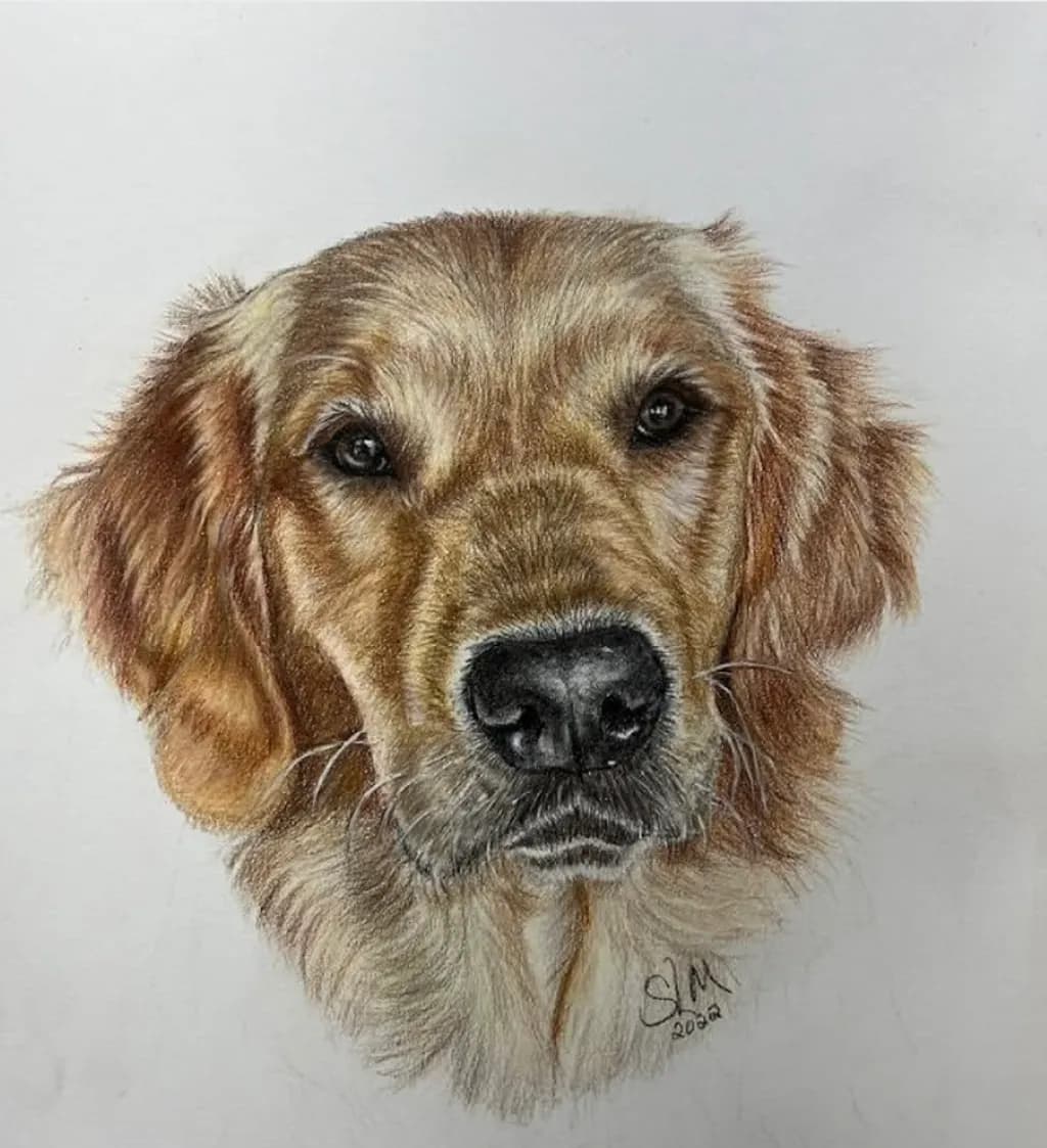 Golden Companion