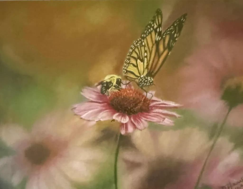 Pollination Dance