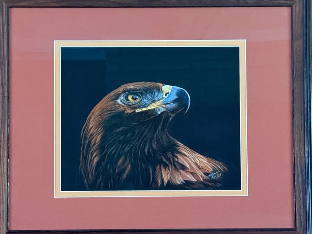 Eagle Portrait