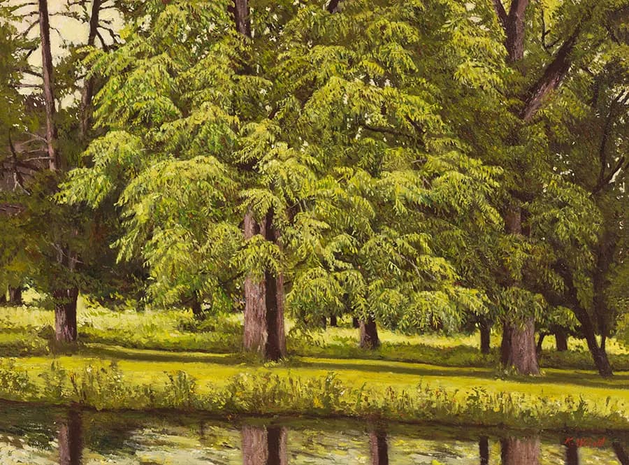 Whispers of Serenity: A Lush Reflection in Nature's Embrace