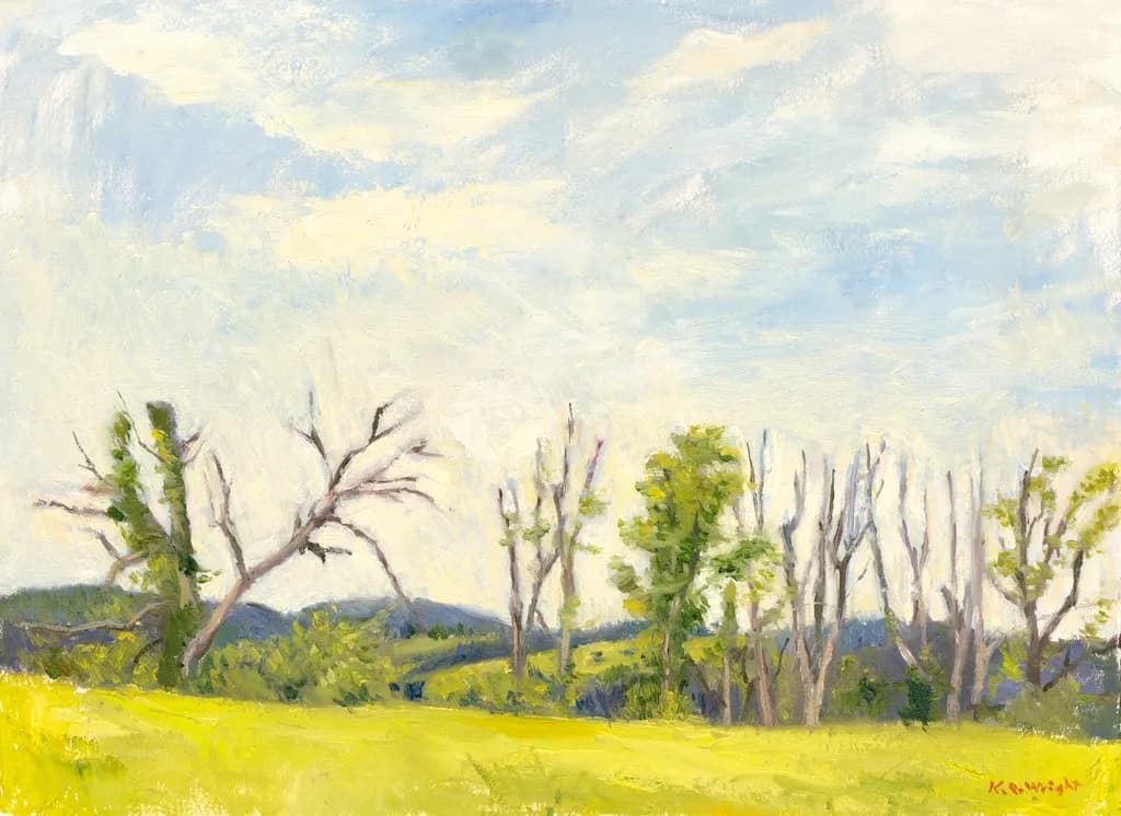 Whispers of Nature: A Serene Landscape of Trees and Sky