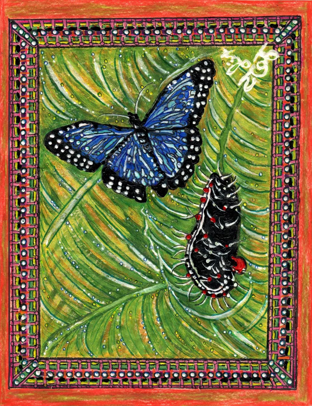 Metamorphosis