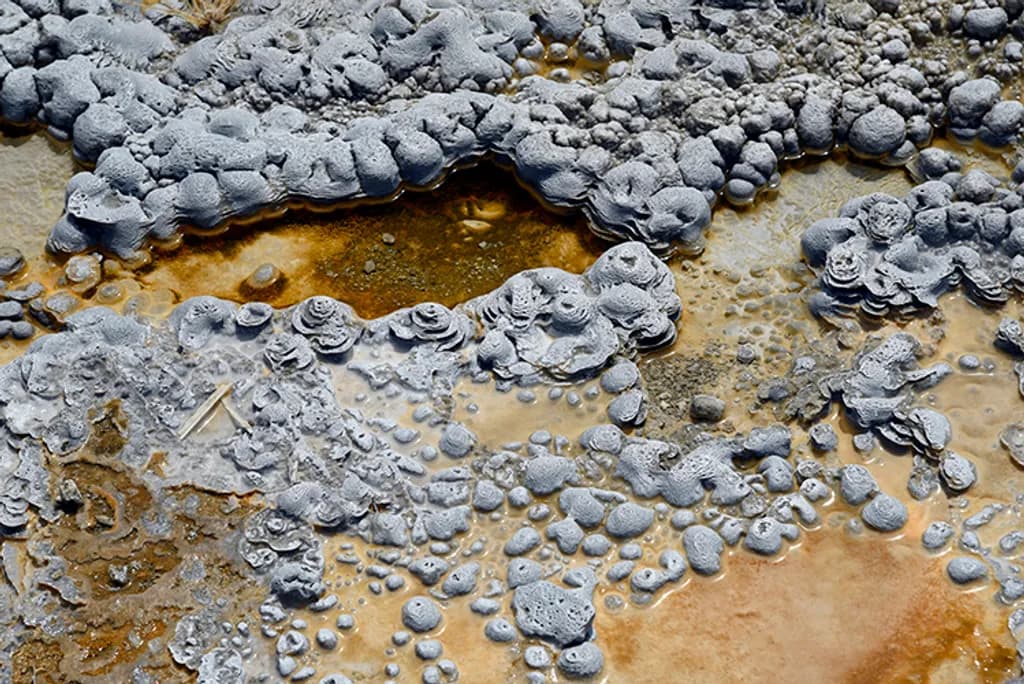 Salt Crust Formation