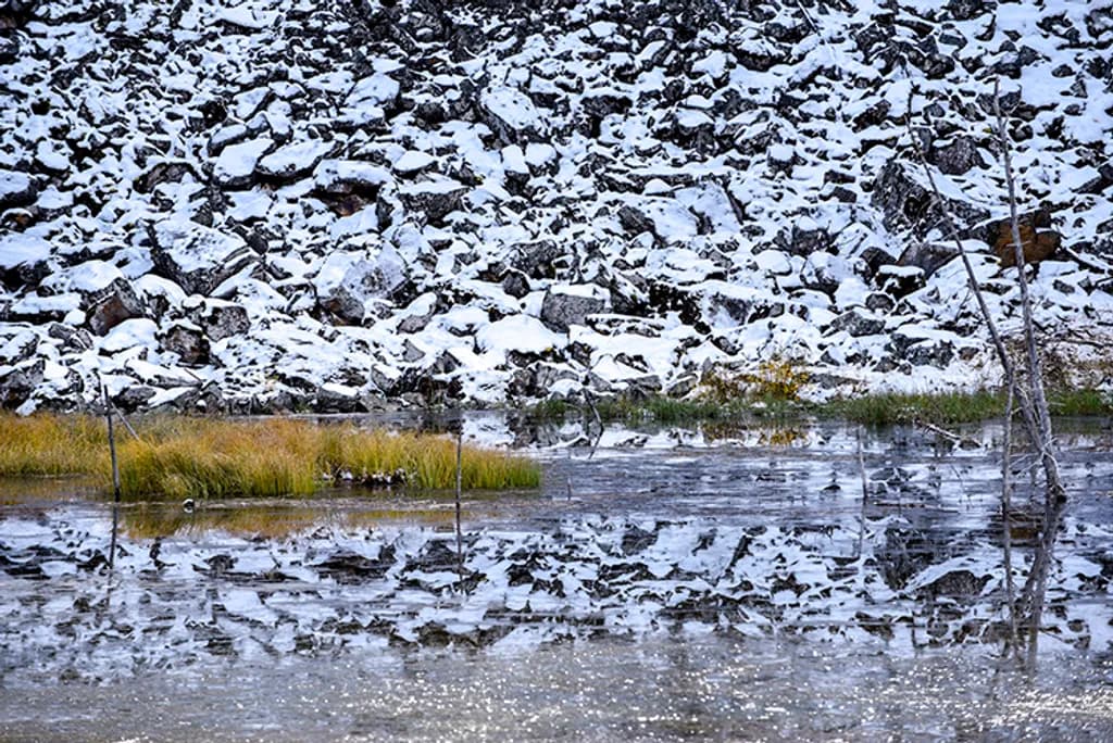 Snow-Covered Reflection