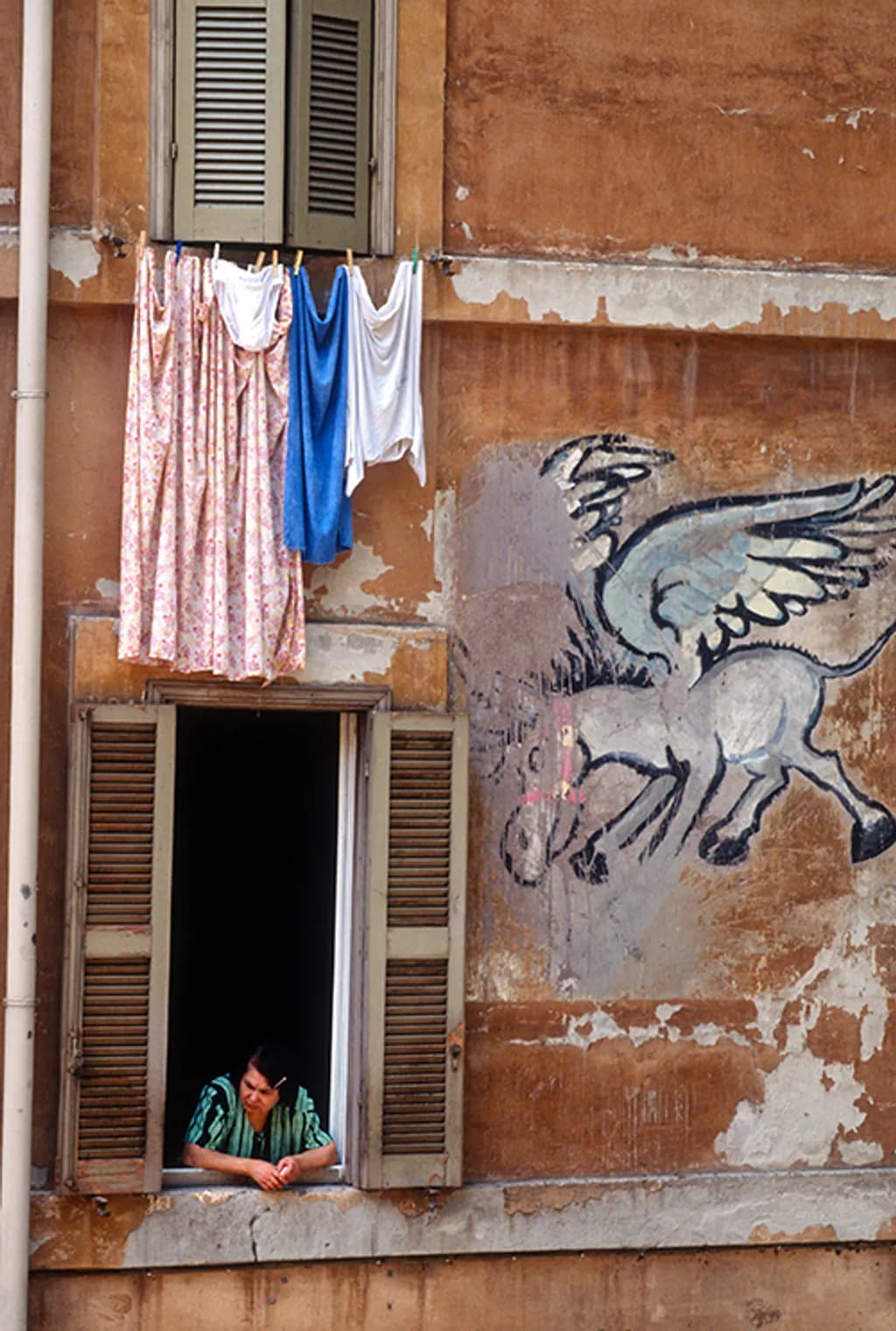 Laundry Wings