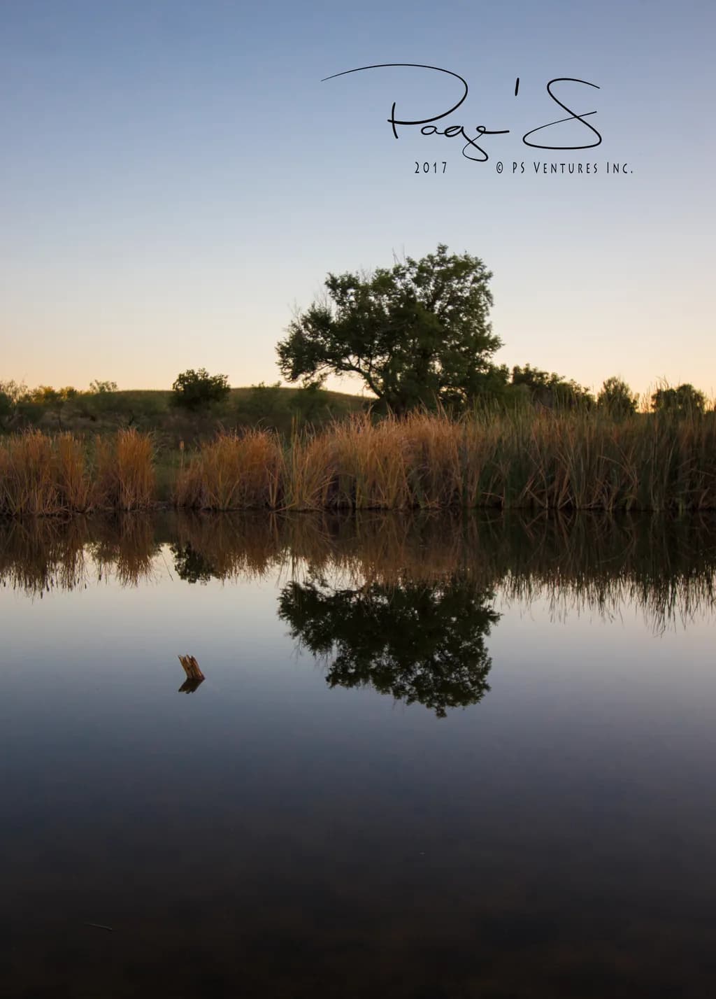 Dusk Reflections