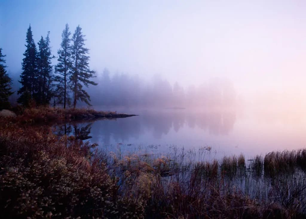 Bay at Dawn