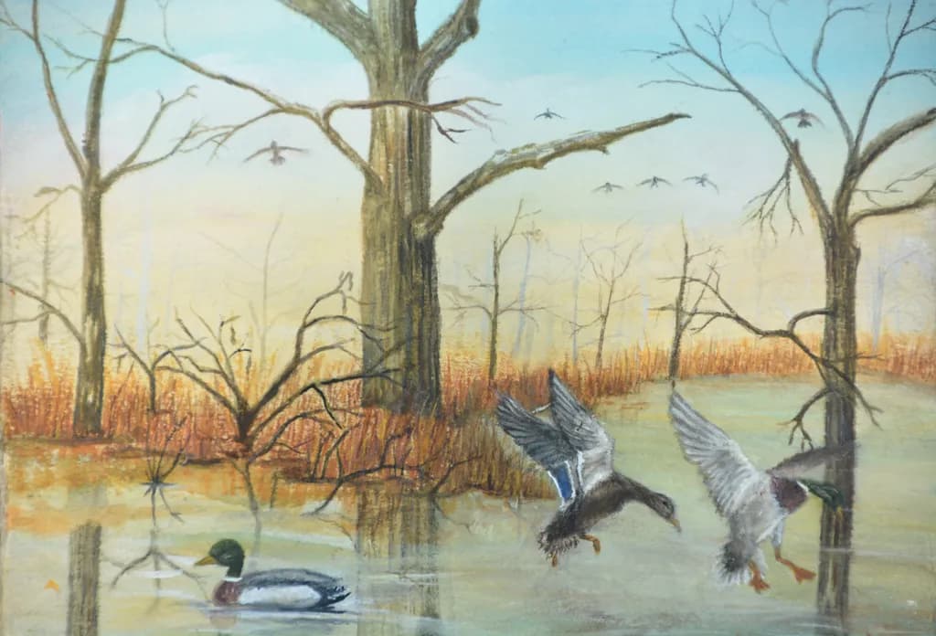 Mallards Landing 