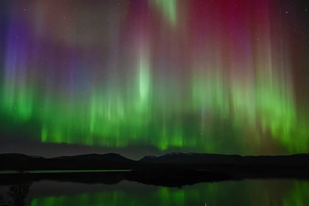 Auroral Reflections