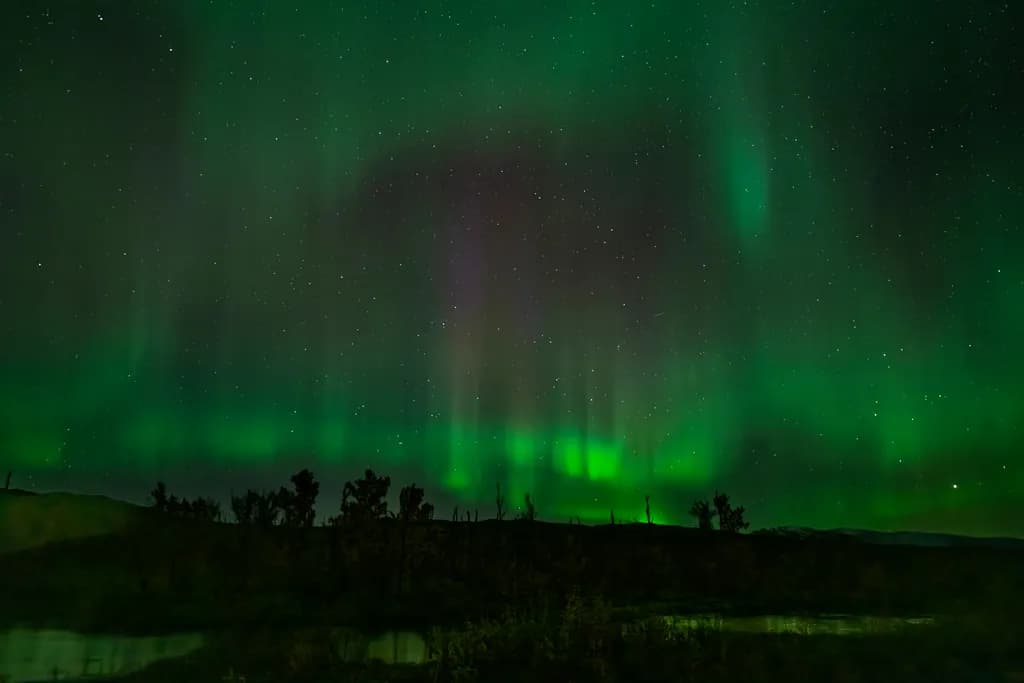 Whispers of the Aurora: A Dance of Green and Stars