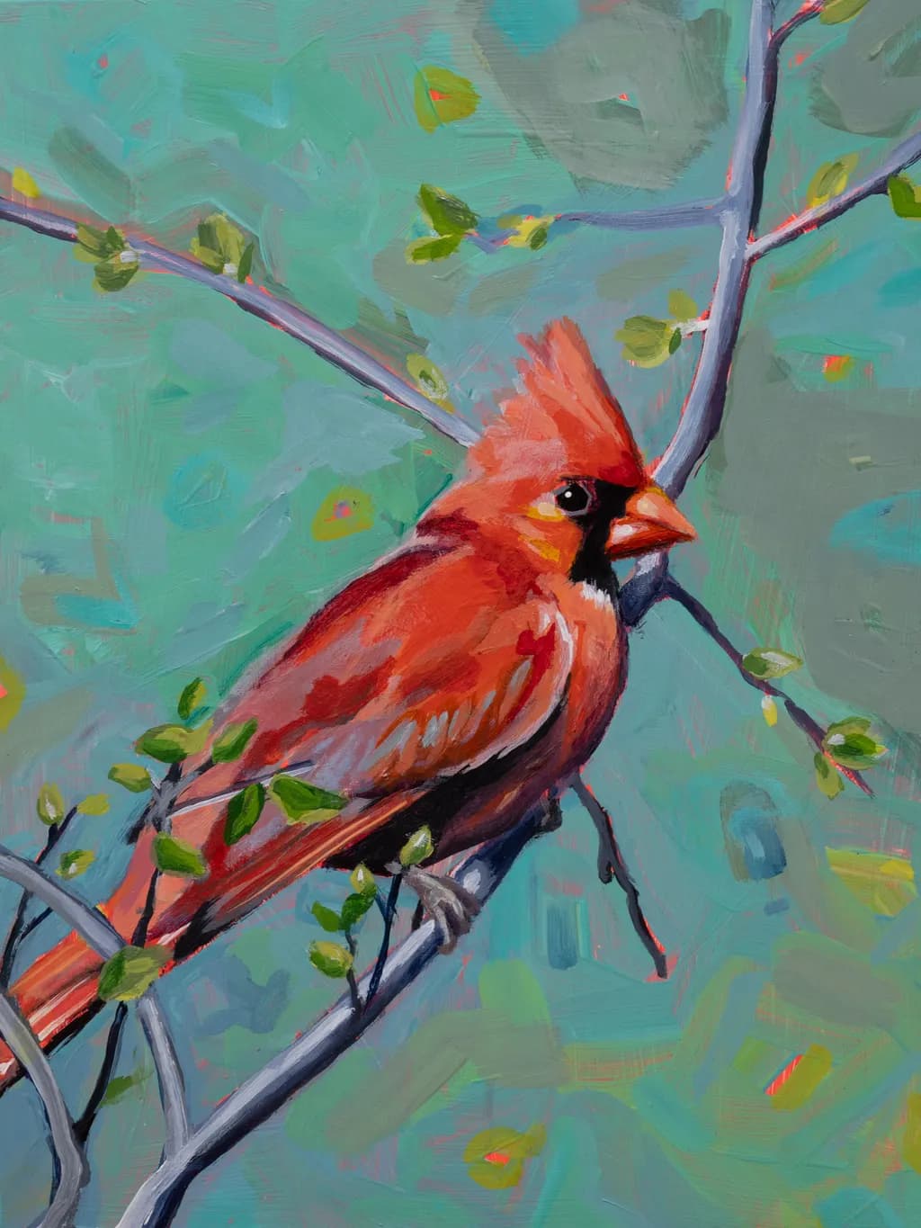 Cardinal Encounters 7