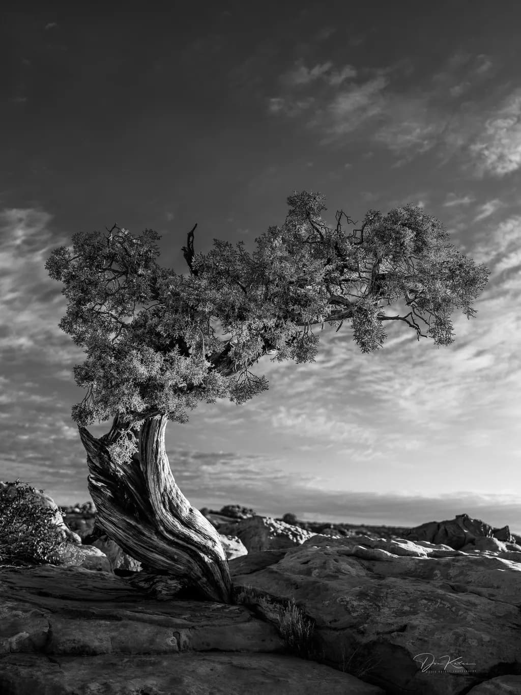 Twisted Resilience