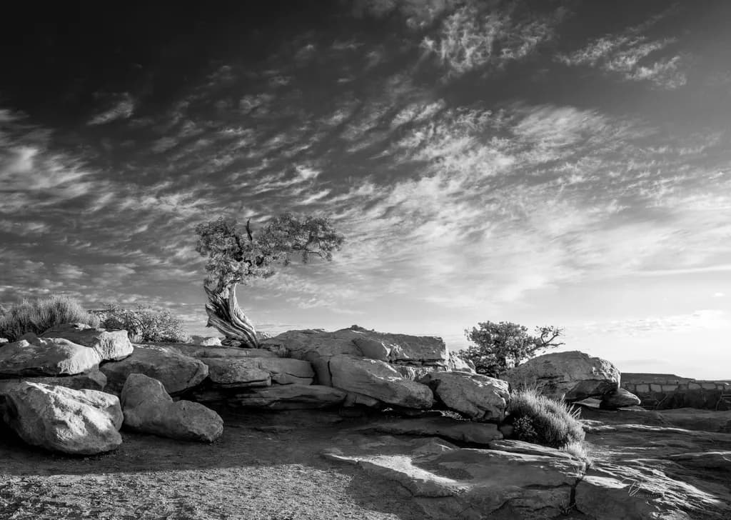 Resilient Solitude