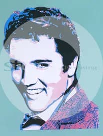 Vibrant Echoes of Elvis: A Pop Art Tribute to the King of Rock and Roll