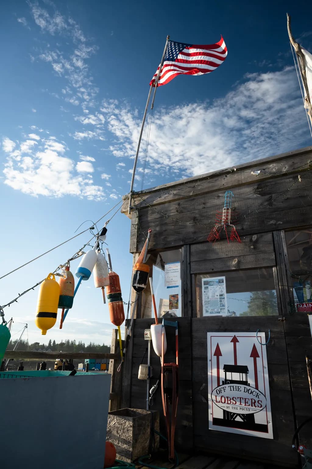 Rustic Reflections: A Dockside Encounter with Lobsters and Skyward Dreams