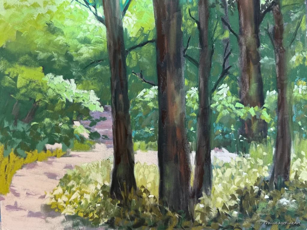Divided Paths, Shared Forest