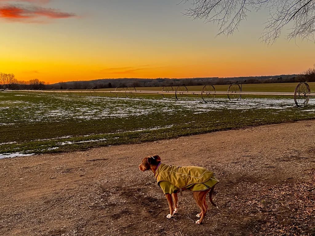 Dusk at McHenry Fields