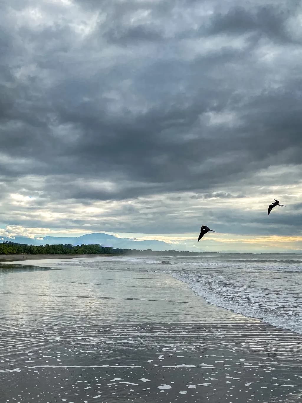 Ocean Horizon
