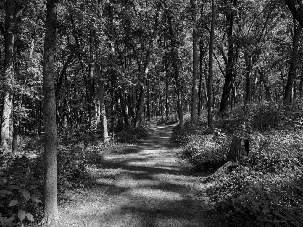 Northern Illinois Trailhead