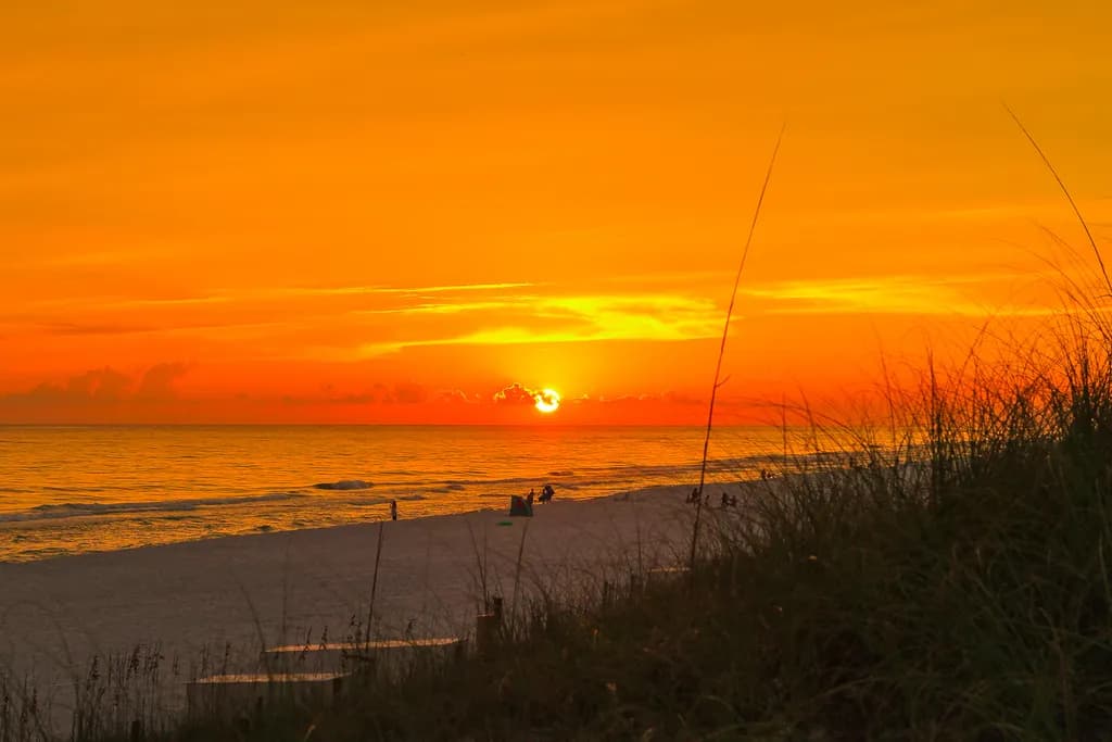 Golden Horizon: Embracing the Serenity of Sunset by the Shoreline