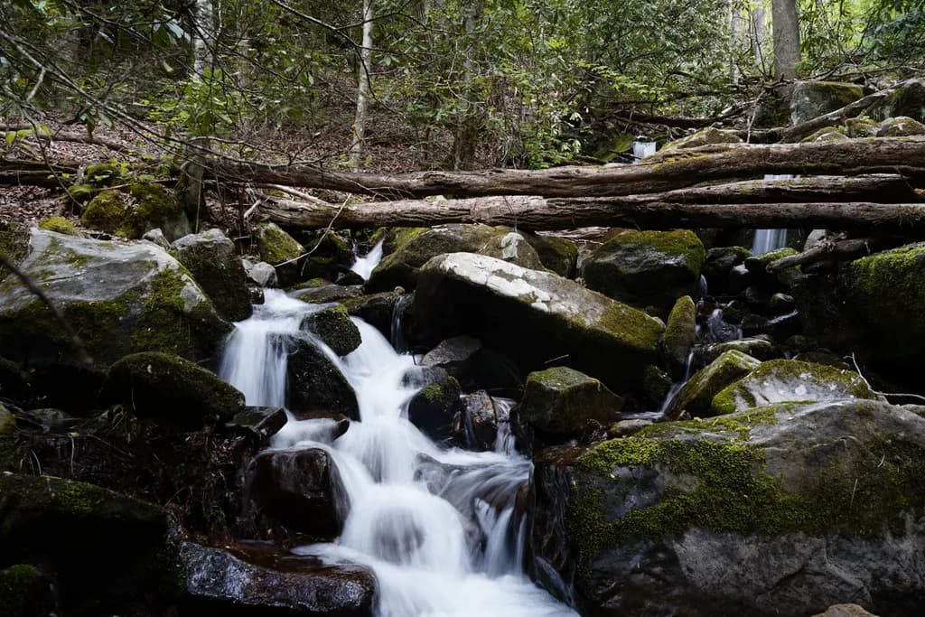 Whispers of Tranquility: A Serene Stream Through Mossy Rocks in the Forest
