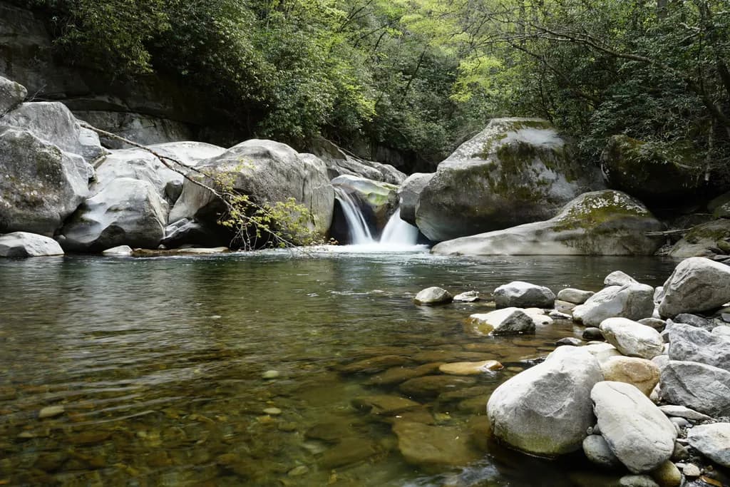 Whispers of the Stream: A Serene Journey Through Nature's Embrace