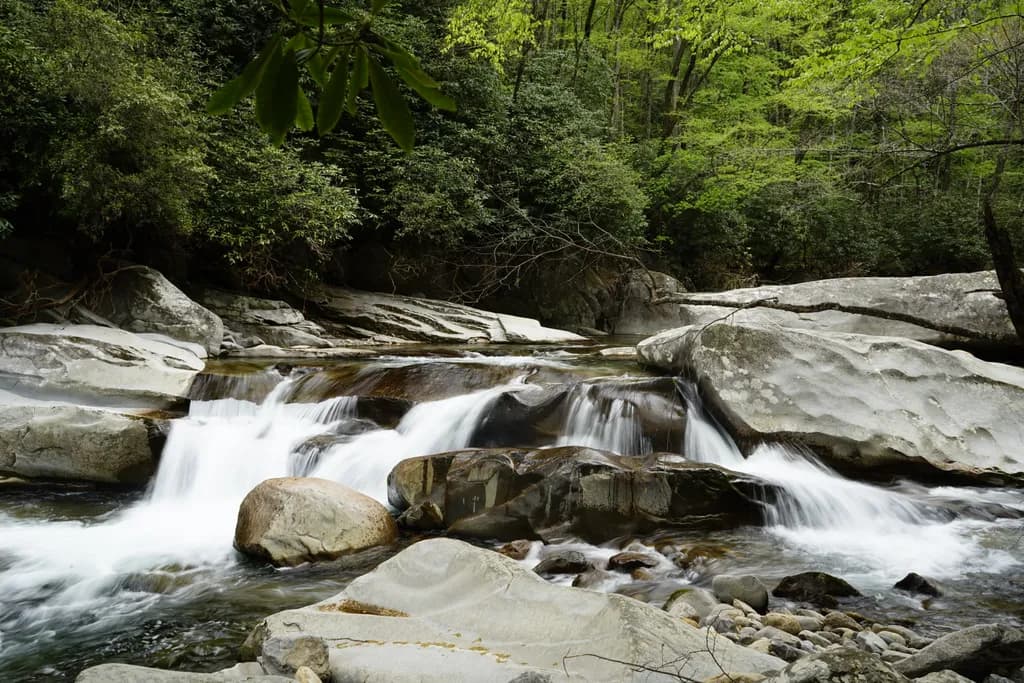 Whispers of the Stream: A Serene Journey Through Nature's Embrace