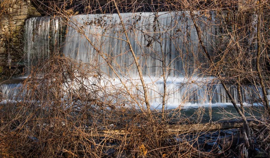 Waterfall Behind Branches