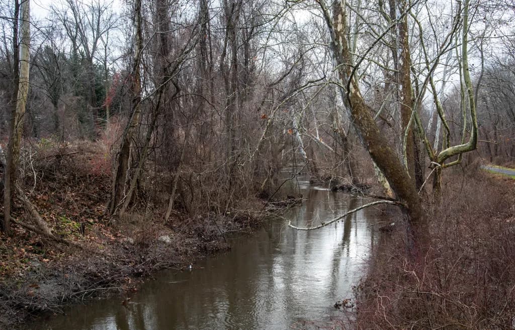 Winter Creek Edge