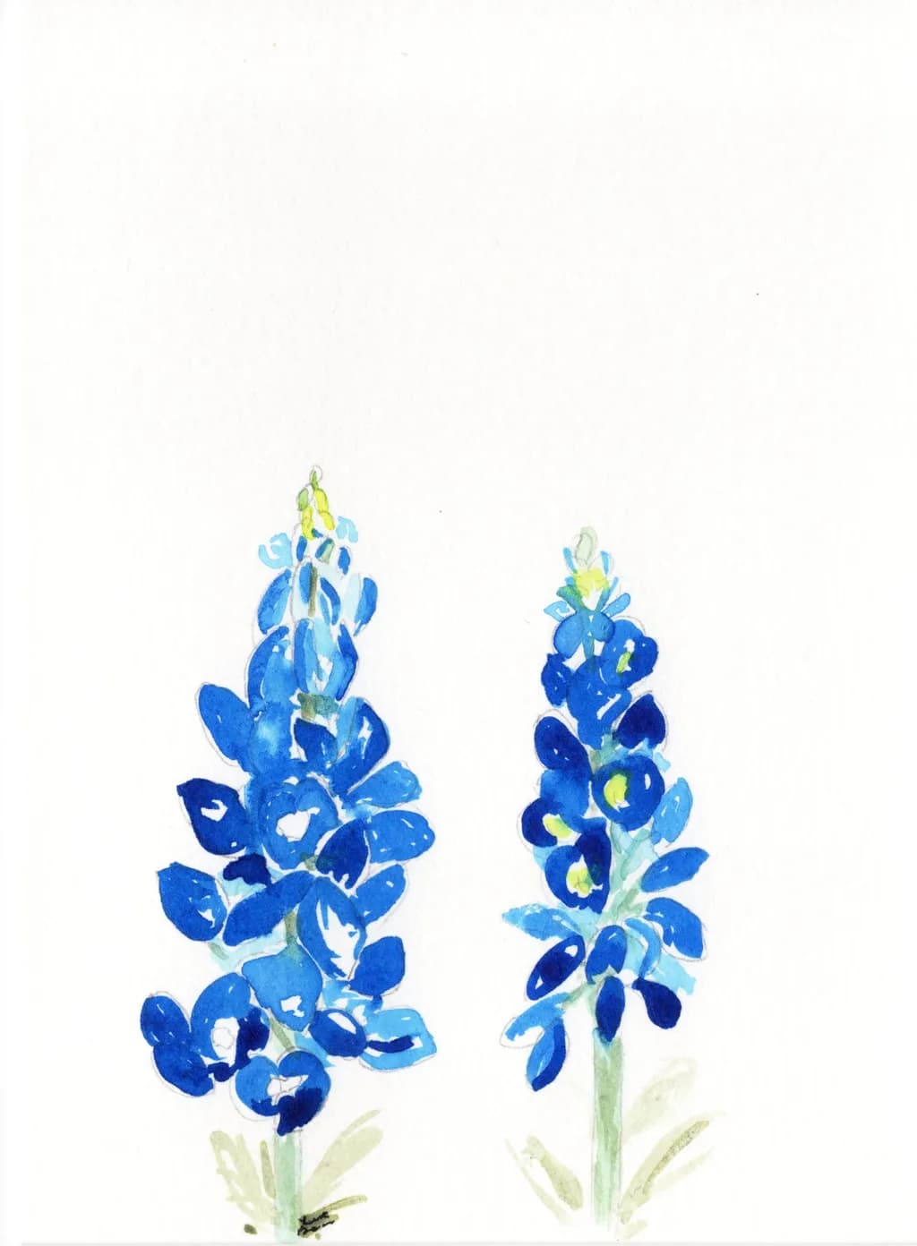 "Whispers of Blue: A Watercolor Journey Through Nature's Blooms"