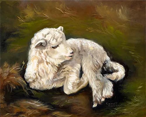 Whispers of Nature: A Serene Lamb in Soft Light