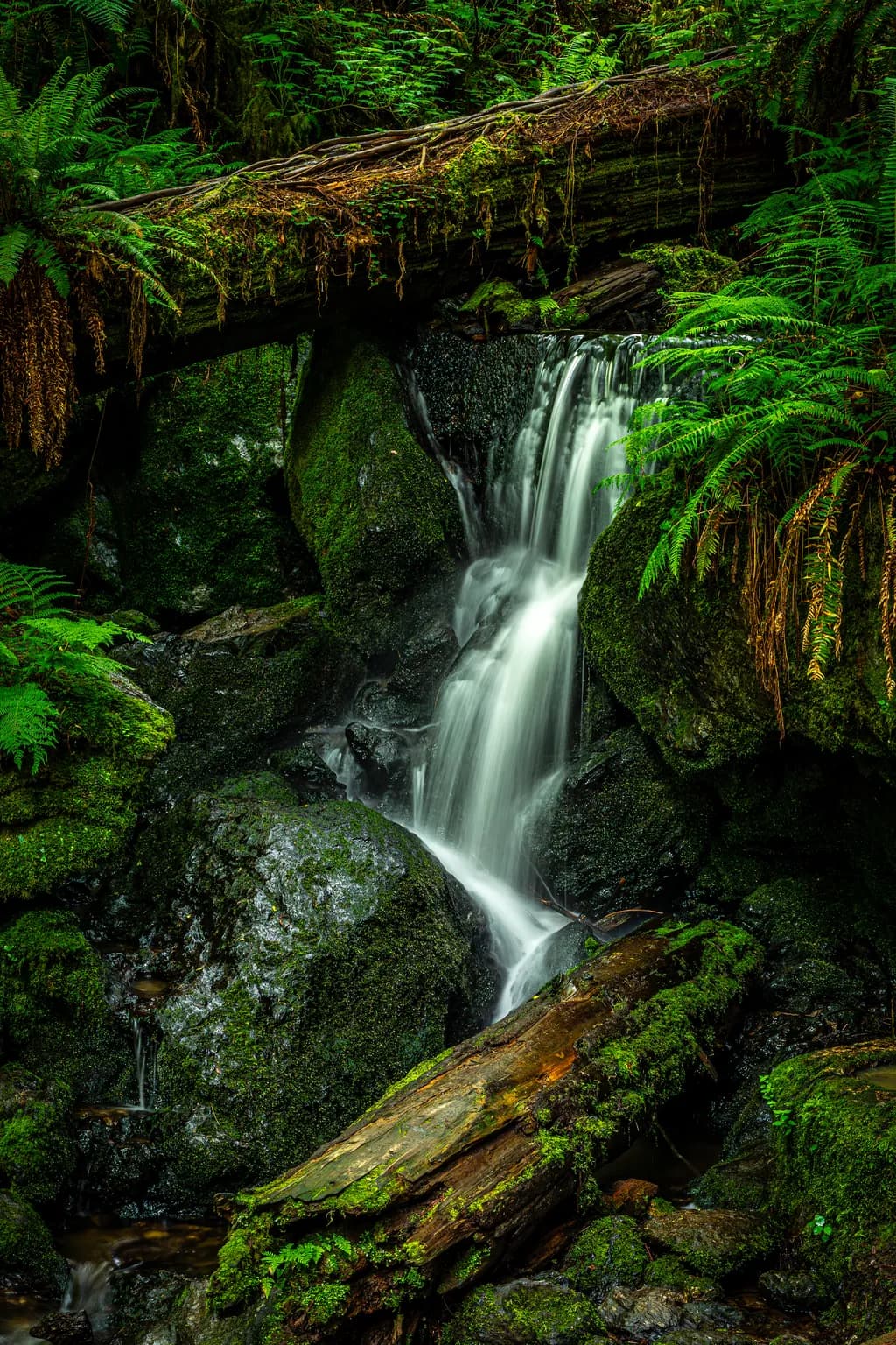 Mossy Cascade