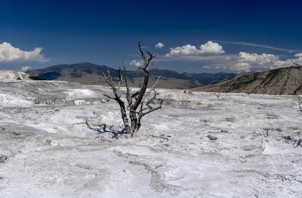 Yell Landscape Panorama